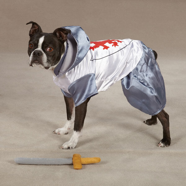 Zack Zoey Knight Costume Size Medium Pet Arabia